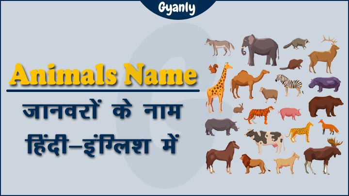 Animals Name in Hindi and English